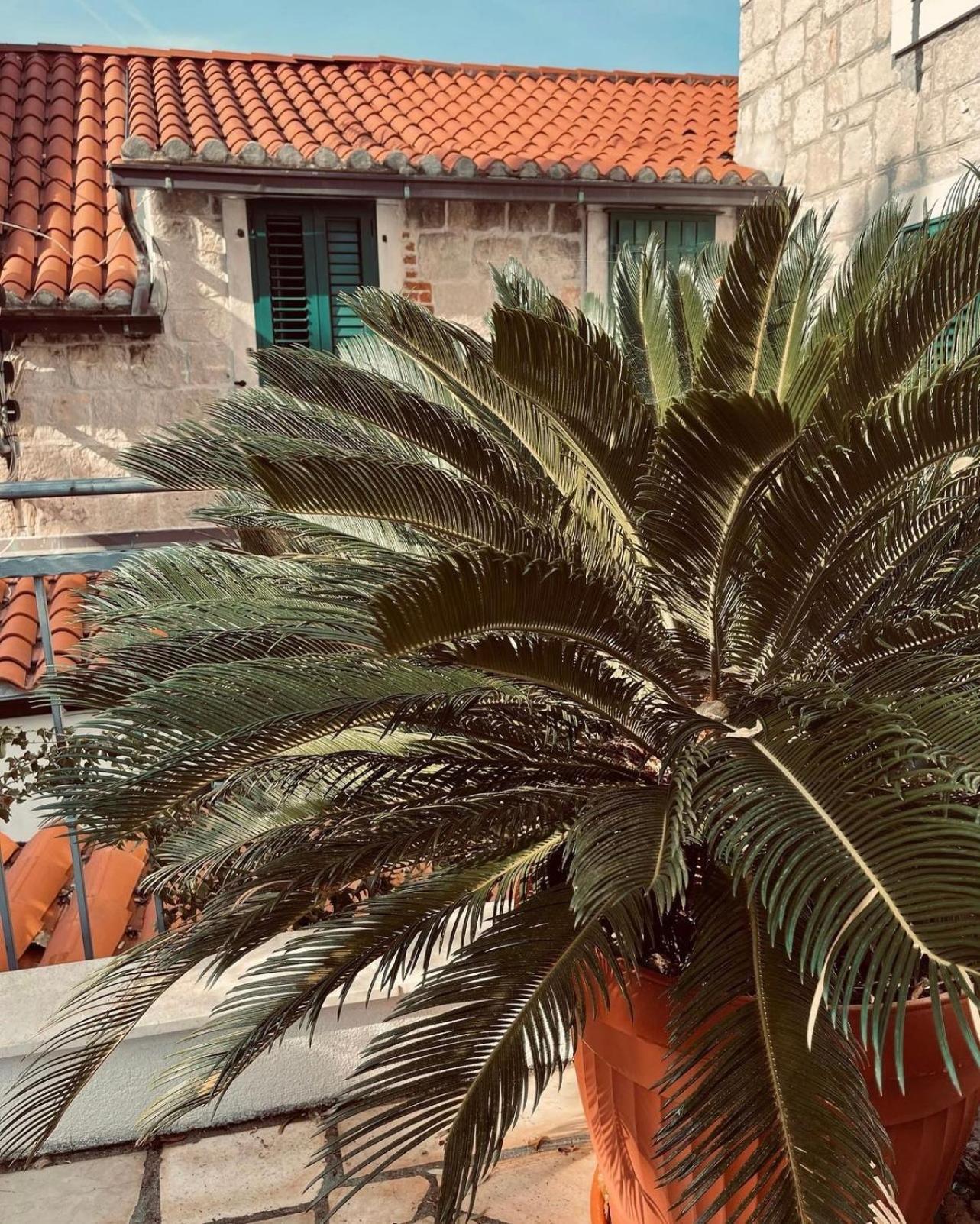 Villa Saint Lucas Split Exterior photo